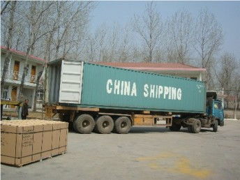 廣州至意大利國際貨運(yùn)代理 專業(yè)散貨門對門服務(wù)與物流解決方案