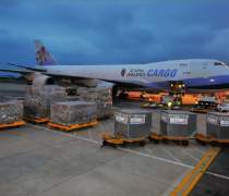 南京活海鮮托運(yùn)指南 優(yōu)質(zhì)商家與貨運(yùn)代理服務(wù)推薦